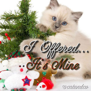 Offer Like You Mean It - Great Things Could Happen